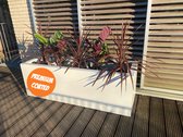 Plantenbak Anja 100x50x50 cm