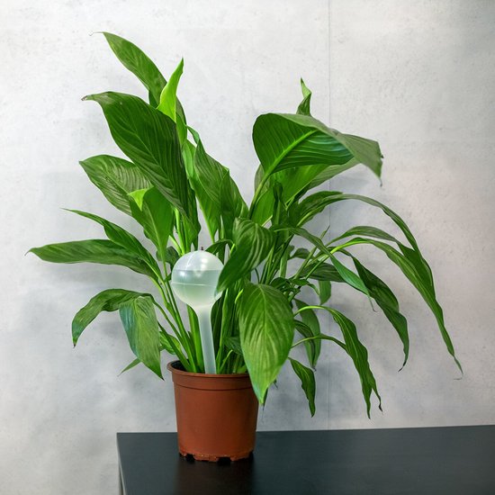 COM-FOUR® 4 x automatische irrigatie voor kamerplanten - waterdispenser voor planten