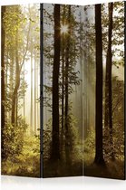 Vouwscherm - Forest: Morning Sunlight  [Room Dividers]