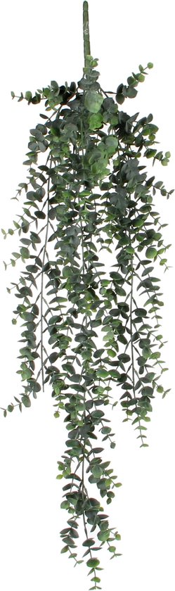 Mica Eucalyptus suspendu vert L78cm