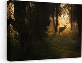 Artaza Canvas Schilderij Hert in het Donkere Groene Bos - 60x40 - Foto Op Canvas - Canvas Print