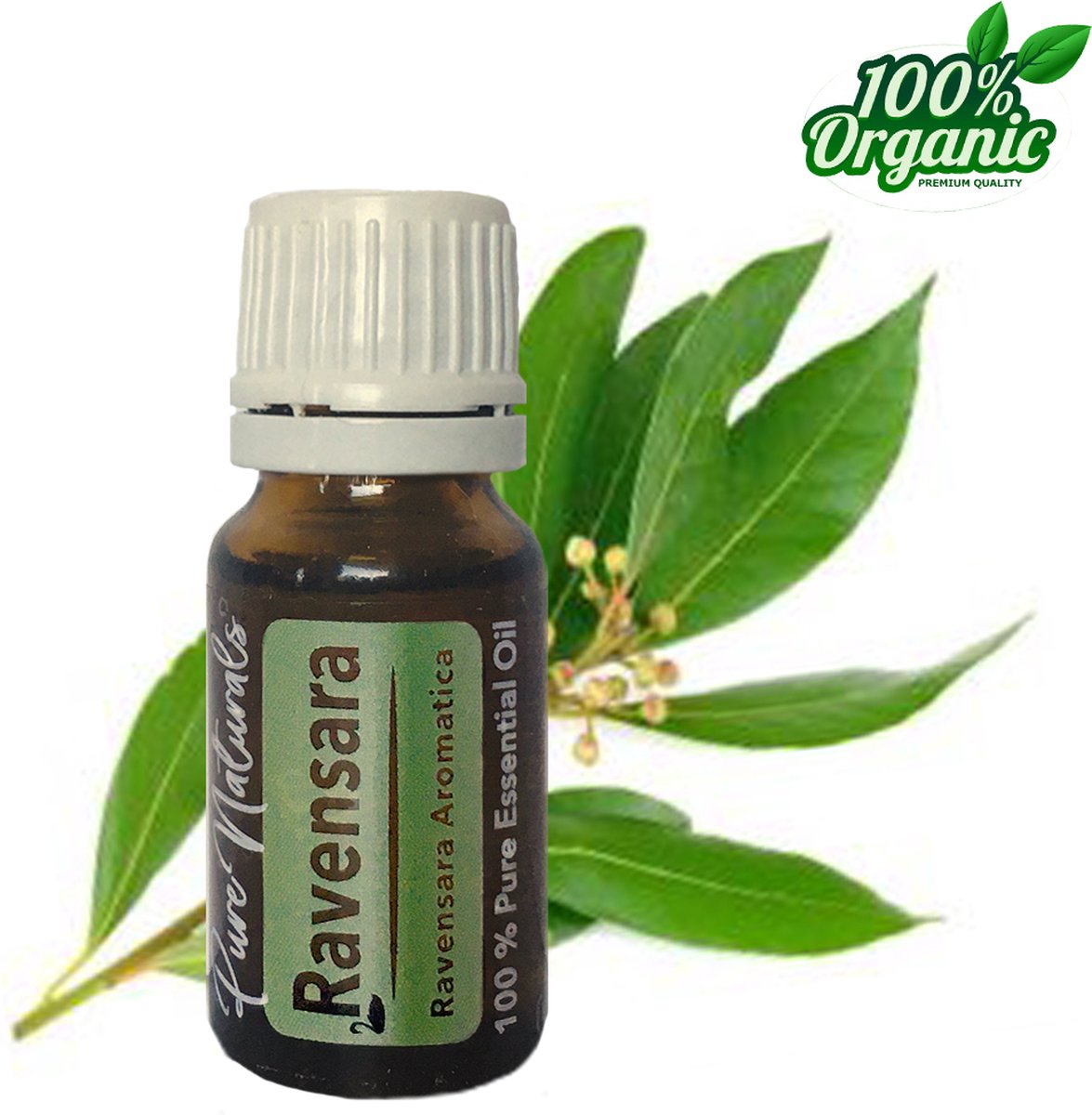 Goedkoopste Ravensara etherische Olie 10 ml | Ravensara Oil | 100 PUUR | Bio | Essentiële olie Aromatherapie | Olie diffuse | Pure Naturals