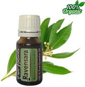 Ravensara etherische Olie 10 ml | Ravensara Oil | 100% PUUR | Bio | Essentiële olie Aromatherapie | Olie diffuse | Pure Naturals