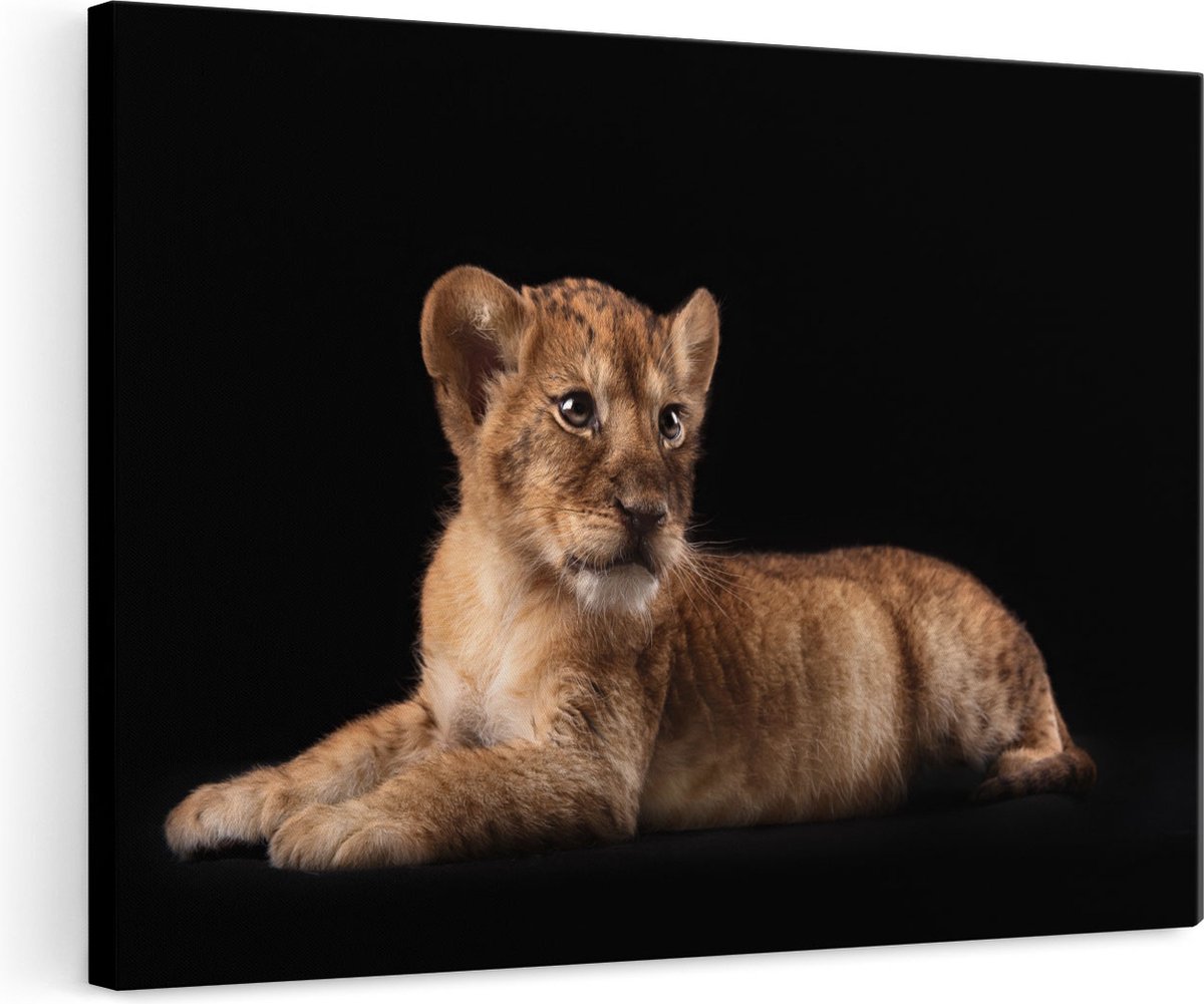 Artaza Canvas Schilderij Leeuwen Welp op het Zwart - Baby Leeuw - 120x80 - Groot - Foto Op Canvas - Wanddecoratie Woonkamer