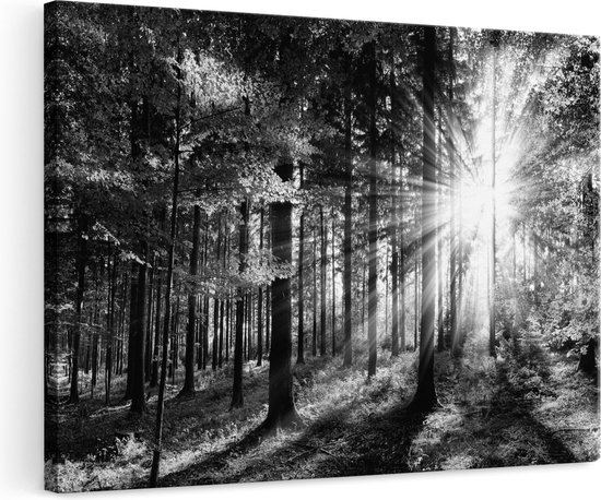 Artaza Canvas Schilderij Bos met Zon tussen de Bomen - Zwart Wit - 120x80 - Groot - Foto Op Canvas - Wanddecoratie Woonkamer