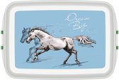 Biodora kinderlunchbox 12X18X5CM gemaakt van bio plastic - paard