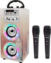 DYNASONIC (3º generatie) karaoke met microfoon, karaoke-installatie met microfoon inbegrepen zingen (twee), Bluetooth-luidspreker meerkleurig led-model, model 025-19 ..