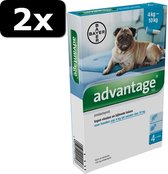 2x - ADVANTAGE HOND 100>4KG 4PIP