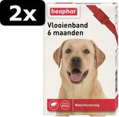2x - BEAPHAR VLOOIENBAND HOND ROOD