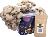 Oesterzwam Growkit - Zelf paddestoelen kweken op koffiedik - Paddenstoelen Kweekset