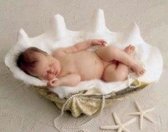 poster Ricordi Anne Geddes - Clam Shell baby 40 x 30 cm