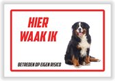 Bord | Waakbord | "Hier waak ik" | 30 x 20 cm | Berner Sennnen | Berner Sennenhond | Waakhond | Hond | Betreden op eigen risico | Polystyreen | Rechthoek | Witte achtergrond