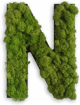 Stylegreen Alfabet letters A t/m Z - Reindeer moss - 25cm