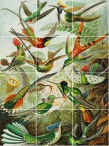 IXXI Hummingbirds - Wanddecoratie - 80 x 60 cm