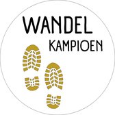 20 x Stickers Wandel Kampioen | Wandelen Vierdaagse Nijmegen | Avond4Daagse | Beloningsstickers Kinderen Volwassenen | 40 mm