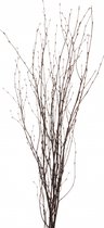 1x Bouquet de branches de Pâques marron 75 cm branches de bouleau / branches artificielles - Décoration de Pâques / Décoration de Pâques