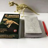 Dinosaurus opgravingsset - Ceratosaurus - Speelgoed - Dino fossiel