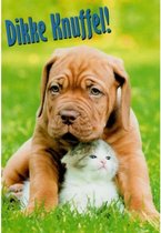 Dikke knuffel! Een ontzettend leuke en lieve kaart met een grappige hond en een schattige kat in het gras. Een bijzondere kaart om bij een cadeau te voegen of om zo te geven. Een dubbele wenskaart inclusief envelop en in folie verpakt.