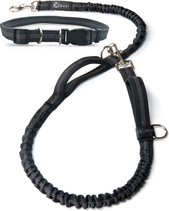 Laisse avec ceinture abdominale pour grands Chiens - Laisse