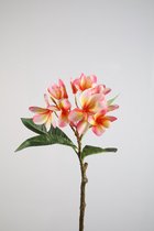 Kunstbloem Plumeria - topkwaliteit decoratie - Roze - zijden tak - 70 cm hoog