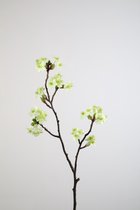 Kunstbloem Bloesem - topkwaliteit decoratie - Groen - zijden tak - 80 cm hoog