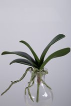 Kunstblad Orchidee - topkwaliteit decoratie - Groen - zijden tak - 27 cm hoog