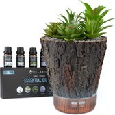 Aroma Diffuser – 150ml - met Instelbare Kleuren – Luchtbevochtiger - Inclusief 6x Etherische Olie - Cactus - Aroma