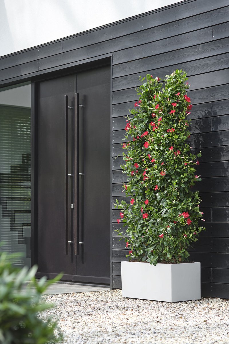 Elho Vivo Next Long 60 - Indoor & Outdoor Rectangular Planter