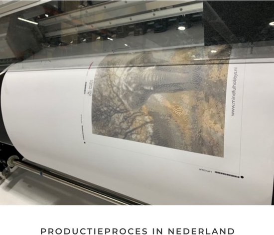 Peinture au Diamond - Coucher de soleil derrière la porte - Fabriqué aux Pays- Nederland - 30 x 40 cm - matériel de toile - pierres carrées - Livré sous 2-3 jours ouvrables