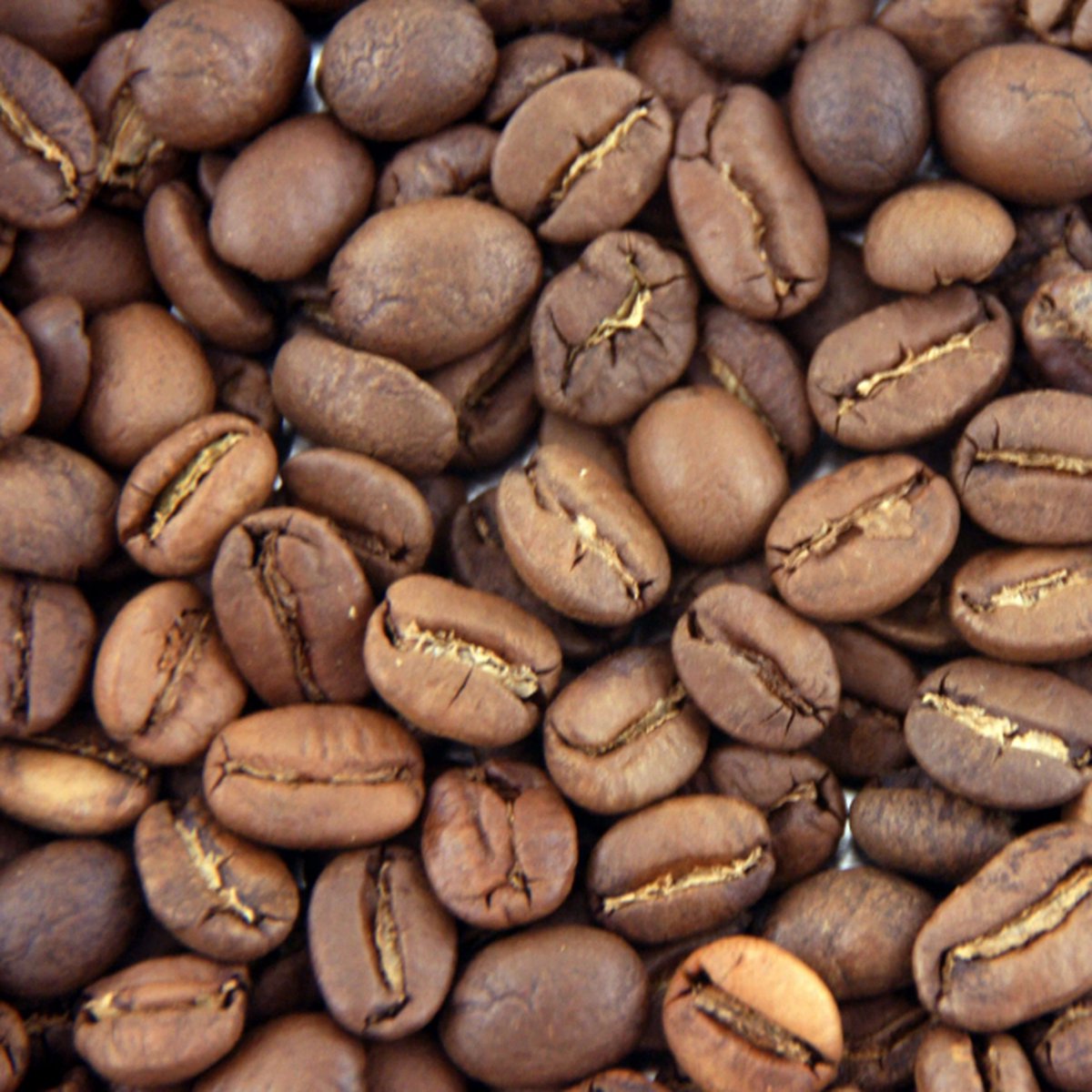 Lazy Roast - 1kg - Arabica - Kenia - Premium koffiebonen