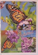 Van harte gefeliciteerd met je … verjaardag! Vul op de puntjes zelf de leeftijd in. Een bijzondere kaart met mooie vlinders en bloemen. Erg leuk om los te geven of bij een kado te voegen. Een dubbele wenskaart inclusief envelop en in folie verpakt.