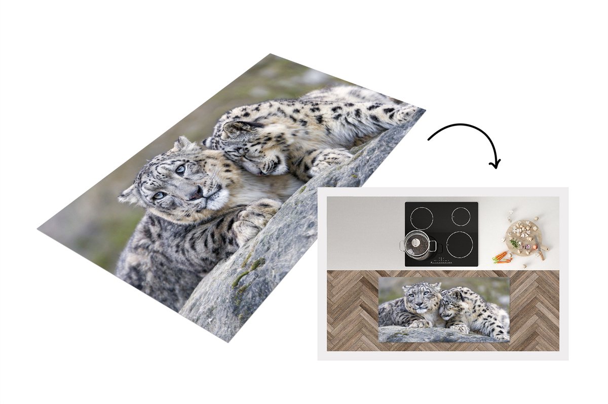KitchenYeah Keukenloper - Loper keuken - Sneeuwpanters - Stenen - Portret - 120x60 cm - Keukenloper vinyl Multicolor