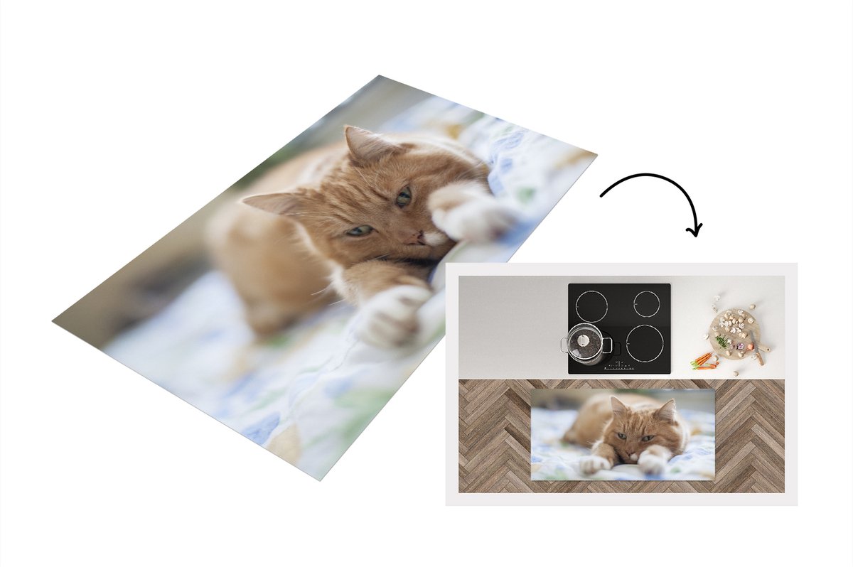 KitchenYeah Keukenloper - Loper keuken - Kat - Bed - Bedsprei - 120x60 cm - Keukenloper vinyl Multicolor