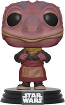 Funko Pop! Star Wars: The Mandalorian - Frog Lady Exclusive