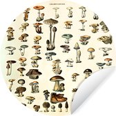 WallCircle - Muurstickers - Behangcirkel - Paddenstoel - Herfst - Seizoenen - Vintage - Adolphe Millot - Natuur - ⌀ 120 cm - Muurcirkel - Zelfklevend - Ronde Behangsticker XXL