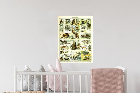 Stickers muraux Animaux - Animaux - Singe - Ours - 30x40 cm - Feuille adhésive