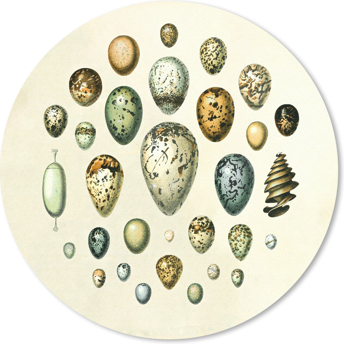 Muismat rond 40x40 cm - Mousepad Ei - Dieren - Design - Ronde muismatten