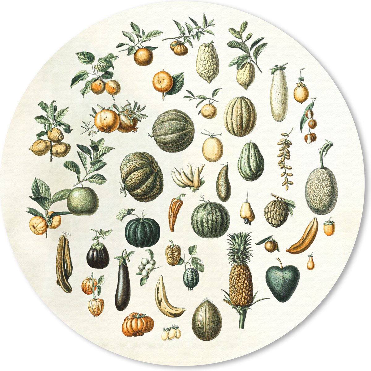 Muismat rond 20x20 cm - Mousepad Groenten - Fruit - Vintage - Ronde muismatten