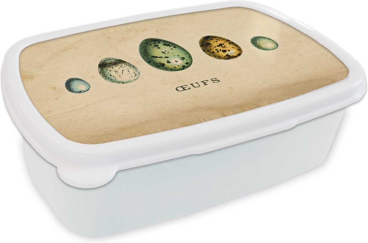 Broodtrommel Wit - Lunchbox - Brooddoos - Eieren - Dieren - Design - 18x12x6 cm - Volwassenen