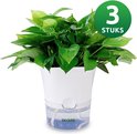 Find the perfect Self watering pot for you on Bol.com