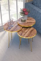 Bijzettafel- Bijzettafel rond - Salontafel hout - Bijzet tafel - Set van 3 - Bijzettafel industrieel - Bruin