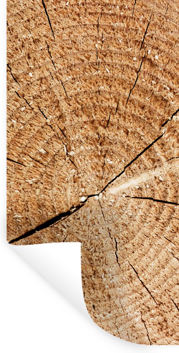Muurstickers - Sticker Folie - Boomstronk - Structuur - Boom - Design - 40x80 cm - Plakfol