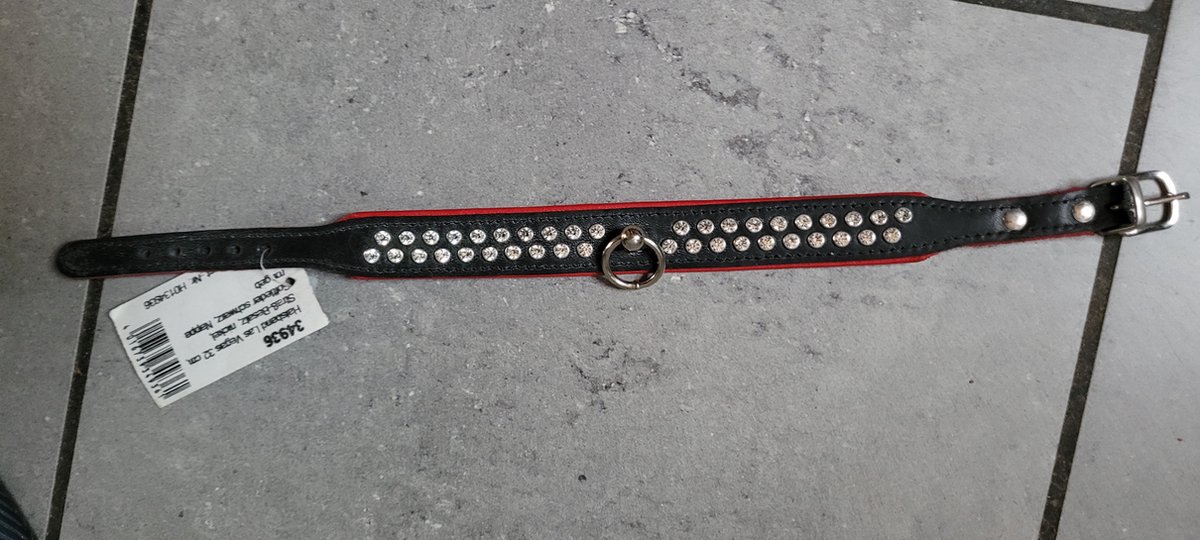 hunter halsband Las Vegas 37 cm