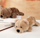 Pluche etui teddybeer 26 cm