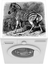 Wasmachine beschermer mat - Antieke illustratie van een Quagga - Breedte 60 cm x hoogte 60 cm