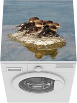 Wasmachine beschermer mat - Een groep jonge grote zaagbekken op een eiland in het water - Breedte 60 cm x hoogte 60 cm