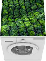 Wasmachine beschermer mat - Theeplantages India - Breedte 60 cm x hoogte 60 cm