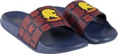 Harry Potter Slippers - Gryffindor