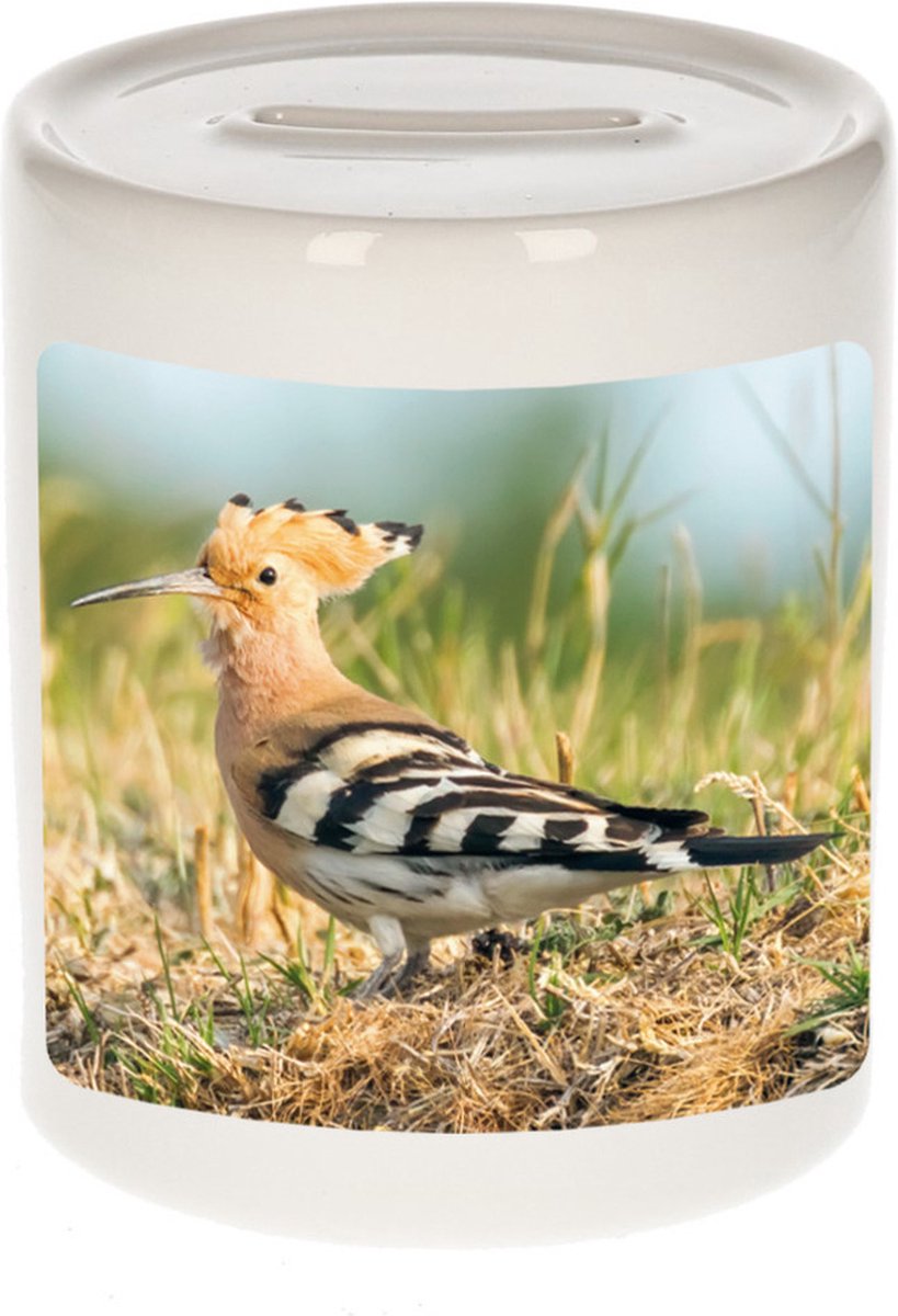 Tirelire photo oiseau huppe Animaux 9 cm garçons et filles - Tirelires  cadeau hoopoe