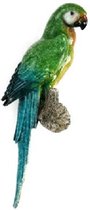 Voor iedere vogel- en natuurliefhebber is deze handgemaakte papegaai een musthave! Prachtig afgewerkt tot in detail met mooie kleuren die in elkaar overlopen. Voor uzelf of Bestel